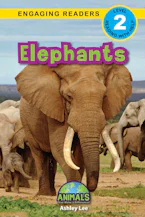 Cover of 'Elephants' by Ashley Lee and Alexis Roumanis 