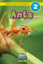 Cover of 'Ants' by Ashley Lee and Alexis Roumanis 