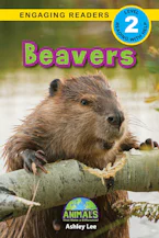 Cover of 'Beavers' by Ashley Lee and Alexis Roumanis 