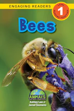 Cover of 'Bees' by Ashley Lee, Alexis Roumanis and Jared Siemens 