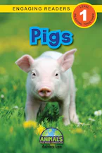 Cover of 'Pigs' by Ashley Lee and Alexis Roumanis 