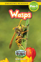 Cover of 'Wasps' by Sarah Harvey 