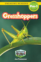 Cover of 'Grasshoppers' by Ava Podmorow and Sarah Harvey 