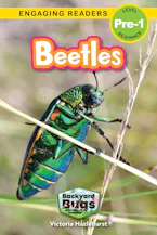 Cover of 'Beetles' by Victoria Hazlehurst and Sarah Harvey 