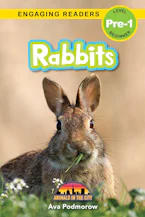 Cover of 'Rabbits' by Ava Podmorow 