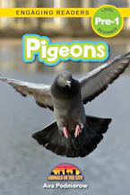 Cover of 'Pigeons' by Ava Podmorow and Sarah Harvey 