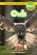 Cover of 'Owls' by Ava Podmorow 
