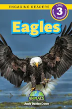Cover of 'Eagles' by Ande Down Denise 